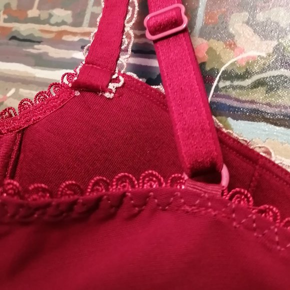 Lejaby embroidered bra Never been used - Picture 2 of 6